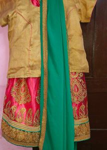 Lehanga Pink Green Combination Set