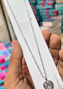 Stainless Steel Locket Chains