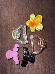 4 Hair Claw Clip+ One Flower Clip Combo✨