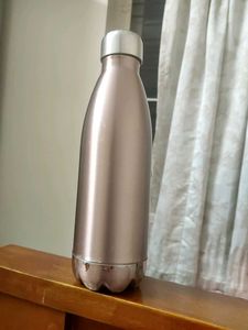 Stainless Steel Bottle