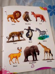 My First Picture Dictionary