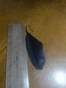 Black Feather Earrings