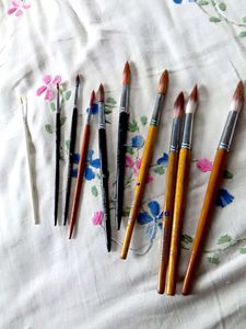 Paint Brushes Set Of10,Camel Artist Colour,Palette