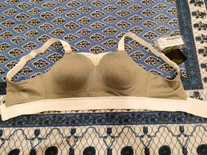 Zelocity High Impact Quick Dry Padded Sports Bra