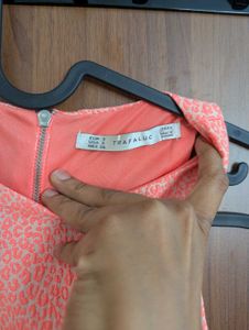 Zara Coral Top