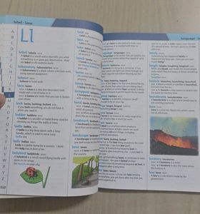 Collins Junior Illustrated Dictionary