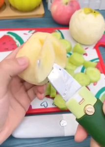 Portable Vegetable Peeler +Knife with Safe cover