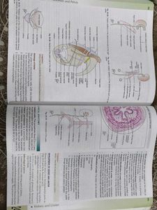 Human Anatomy Vol. 2 with free workbook