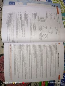 Oswaal. Sample Paper