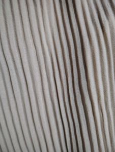Elegant Pleated Top