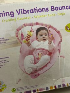 Soothing Vibrations Bouncer