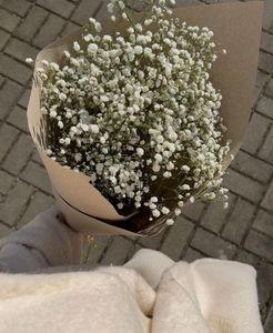 Dry Flower Baby Breathe Bouquet