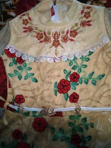 Floral Embroidered Party Dress