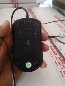 Mouse