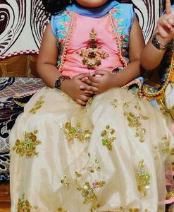 Kids Embroidered Peach Lehenga Skirt