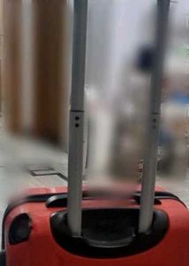 Safari Gym &amp; Travel Bag