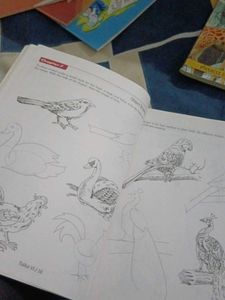 Combo Of Art Books (4)