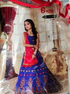 Blue Embroidered Lehenga Choli