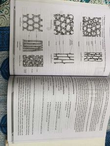 Class 11 CBSE Practical Books