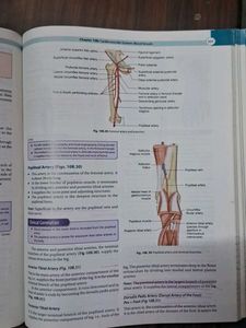 Anatomy &amp; Physiology Workbook