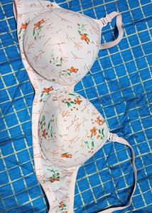 Padded Bra