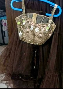 Brown Tulle Skirt and Embellished Top