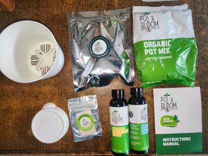 Pot and Bloom Italian Basil Plant Gardening Kit|