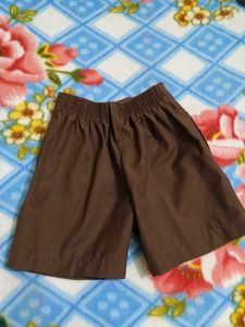Brown Pleated Shorts