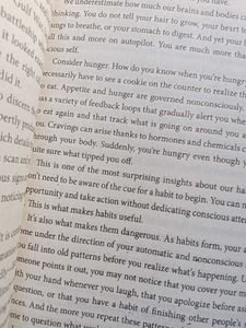Atomic Habits By James Clear