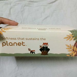 Facial Tissue