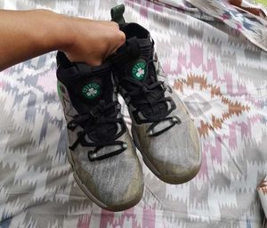 Adult Basketball Shoes Boston Celetics