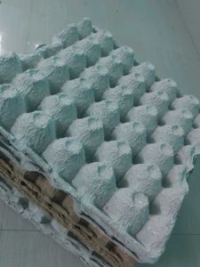 Recyclable Egg Trays(Pack Of 10)5 Pairs