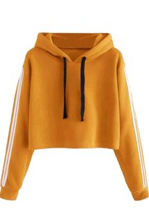 Fabricorn Stylish Sweatshirt with Hoody for Women