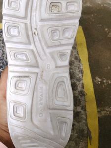 AIRWALK SHOE