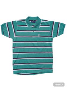 Striped Polo Shirt