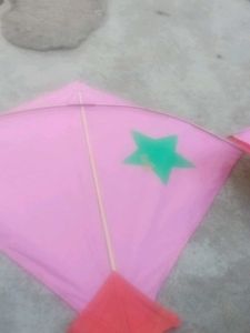 Kite