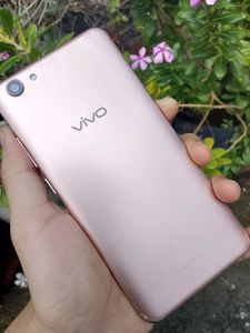 Vivo Y71