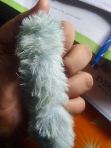 Feather Blue Colour Crutches Or Buns