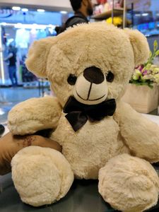 Cute Smokey Teddy Bear