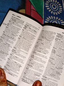 Oxford English Mini Dictionary