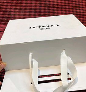 Coach Carrybag Cum Magnetic Box