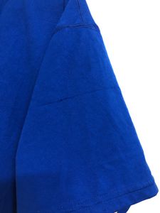 Champion Blue T Shirt