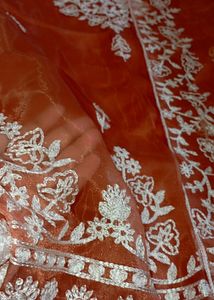 New Stitched Pakistani Suit (Organza Fabric)