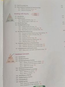 Sumita Arora Class 11 Informatics Practices IP