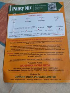 WINTER FLOWERING PLANTS-PANSY MIX SEEDS