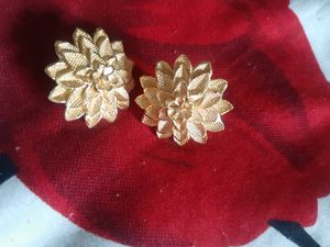 Earrings Like Gold Plated