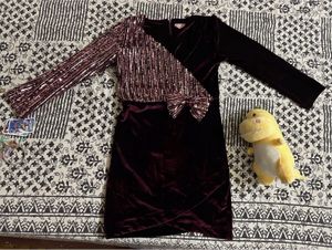 Party Wear Sequin Dress