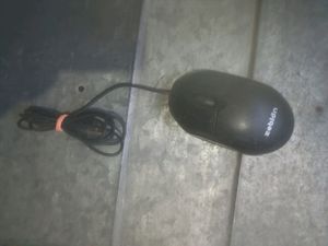 Mouse For Sale