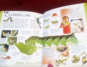 Big Book Of Knowledge