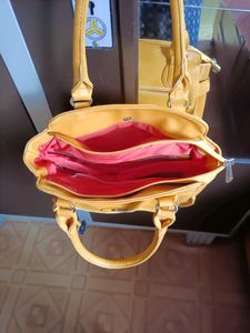 Diana korr Sholder bag